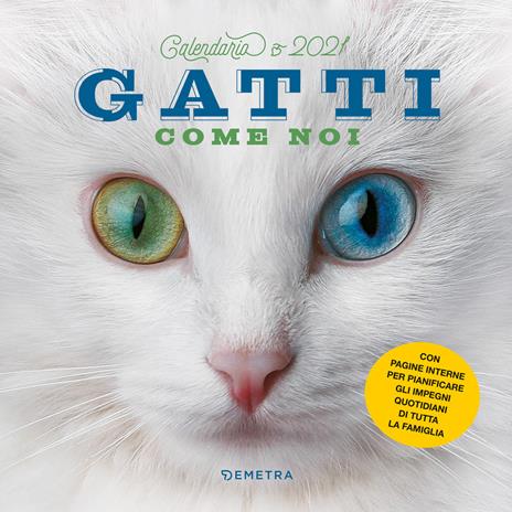 Gatti come noi. Calendario 2021 da parete (30 x 30) - copertina