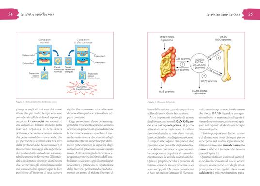 Anti osteoporosi. I segreti e la dieta per la salute delle nostre ossa - Maria Luisa Brandi - 6