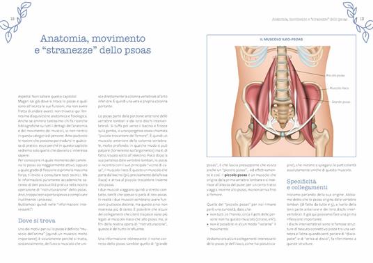 Psoas. Il ponte tra corpo e mente. Tutti gli esercizi per aumentare il benessere della schiena, ridurre l'ansia e riconnettersi con se stessi - Marcello Chiapponi - 4