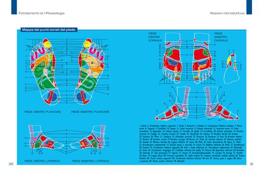 Riflessologia. Curare disturbi e malattie con il massaggio zonale del piede e della mano - Antonio Maglio,Dalia Piazza - 4
