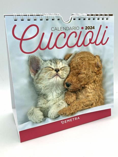 Calendario cuccioli desk 2024