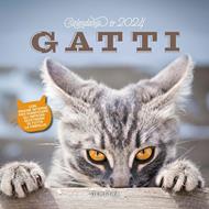 Calendario gatti 2024