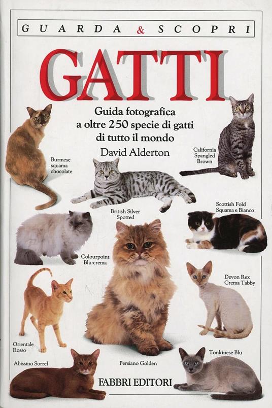 I gatti - copertina
