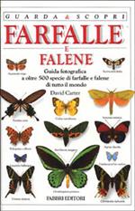 Farfalle