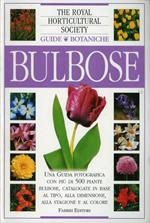 Piante Bulbose