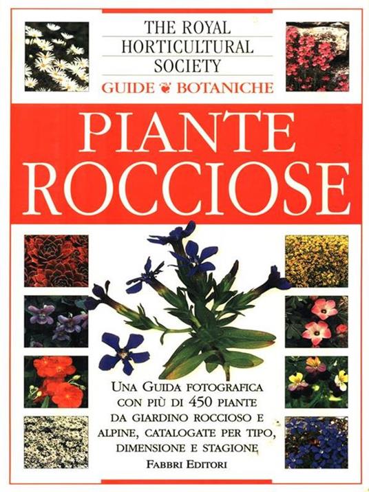 Piante rocciose - 2