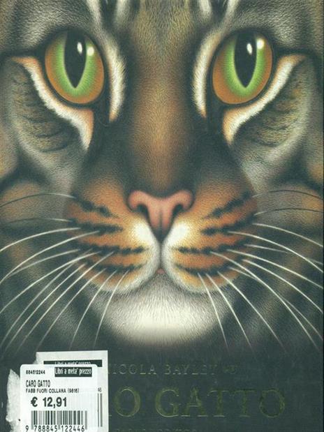 Caro gatto. Ediz. illustrata - Nicola Bayley - copertina