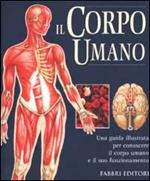 Il corpo umano