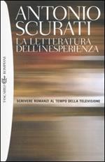 La letteratura dell'inesperienza. Scrivere romanzi al tempo della televisione