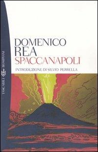 Spaccanapoli - Domenico Rea - copertina