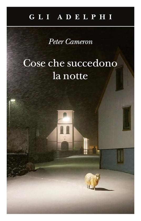 Cose che succedono la notte - Peter Cameron - copertina