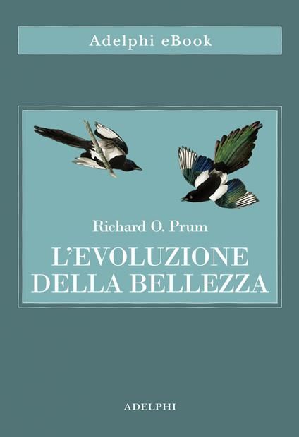 L' evoluzione della bellezza. La teoria dimenticata di Darwin - Richard Prum,Valentina Marconi - ebook