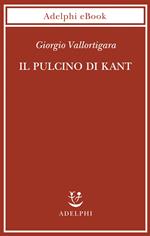 Il pulcino di Kant