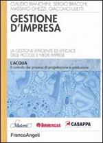 Gestione d'impresa. La gestione efficiente ed efficace delle piccole e medie imprese. Il controllo dei processi di progettazione e di produzione