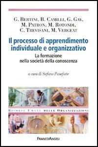 Il processo di apprendimento individuale e organizzativo. La formazione nella società della conoscenza - copertina