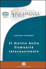 Il diritto della comunità internazionale. Principi e regole per la governance globale