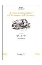 Il romanzo di formazione nell'Ottocento e nel Novecento