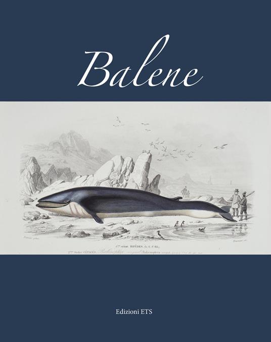 Balene - copertina