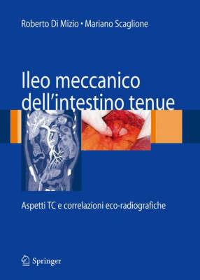 Ileo meccanico dell'intestino tenue: aspetti TC e correlazioni eco-radiografiche - Roberto Di Mizio,Mariano Scaglione - copertina