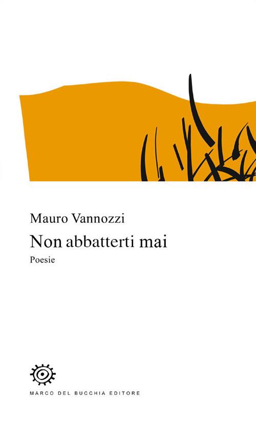 Non abbatterti mai - Mauro Vannozzi - copertina