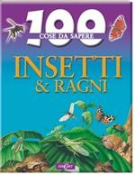 Insetti & ragni