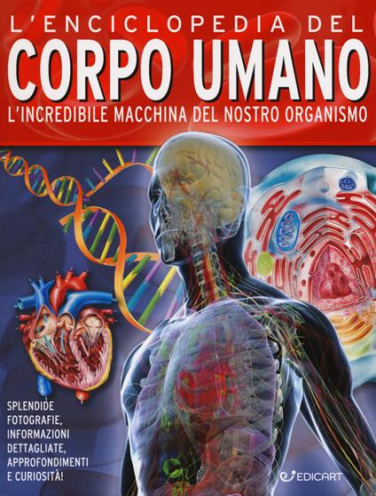 L'enciclopedia del corpo umano. L'incredibile macchina del nostro organismo - John Farndon,Nicki Lampon - copertina