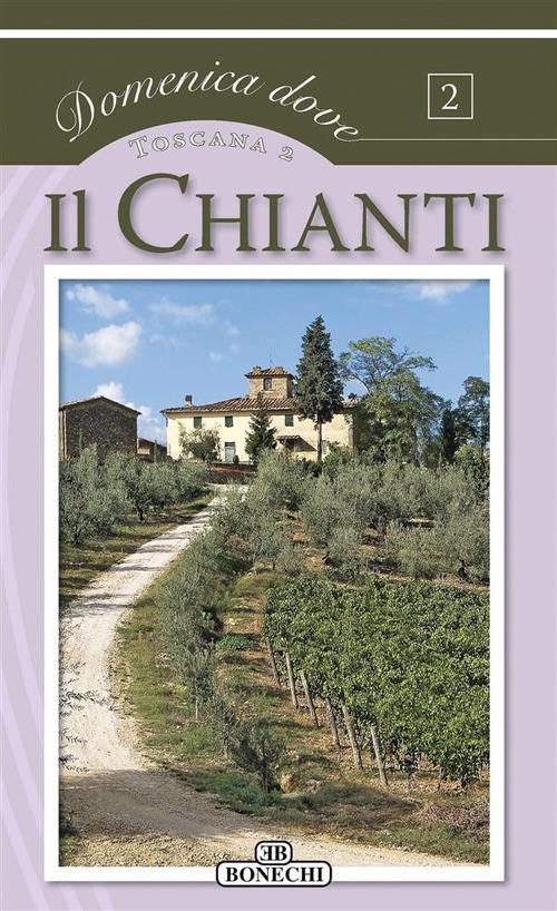 Il Chianti. Toscana - AA.VV. - ebook