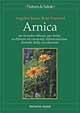 Arnica. Un rimedio efficace per ferite, ecchimosi ed ematomi, infiammazioni, disturbi della circolazione