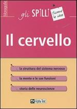 Il cervello