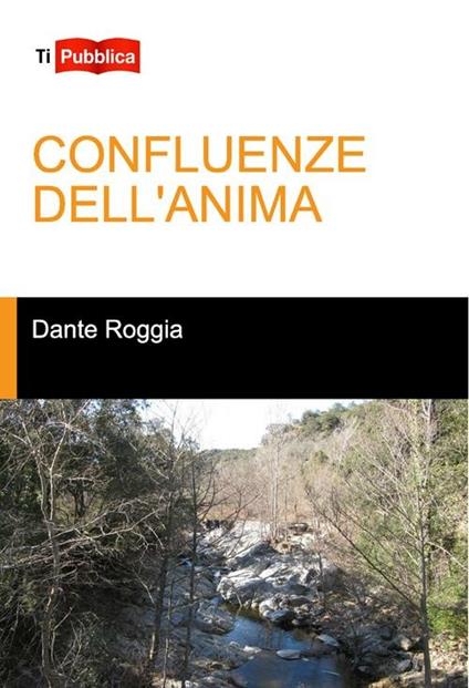 Confluenze dell'anima - Dante Roggia - copertina