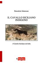 Il cavallo indigeno siciliano. Il gentile siciliano da sella