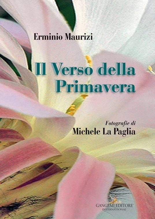 Il verso della primavera - Erminio Maurizi - copertina