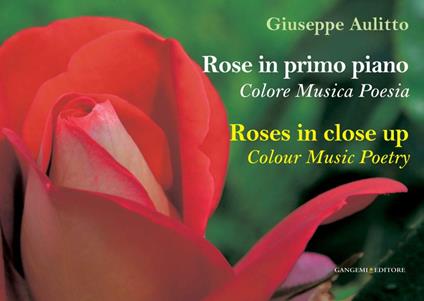 Rose in primo piano. Colore musica poesie. Ediz. italiana e inglese - Giuseppe Aulitto - ebook