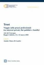 Trust. Viaggio nella prassi professionale tra interessi privati, fini pubblici e benefici