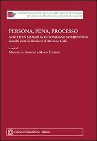 Persona, pena, processo. Scritti in memoria di Tommaso Sorrentino, raccolti sotto la direzione di Marcello Gallo - copertina