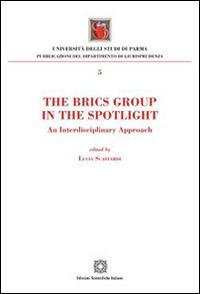 The Brics Group in the sportlight. An interdisciplinary approach - L.  Scaffardi - Libro - Edizioni Scientifiche Italiane - | IBS