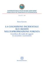 La cognizione incidentale sui crediti nell'espropriazione forzata. Contributo allo studio dei rapporti tra esecuzione e accertamento