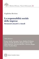 La responsabilità sociale delle imprese. Strumenti attuativi e rimedi