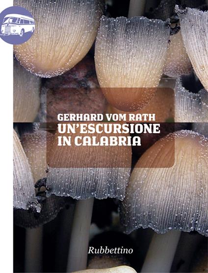 Un' escursione in Calabria - Gerhard von Rath,Teodoro Scamardi - ebook