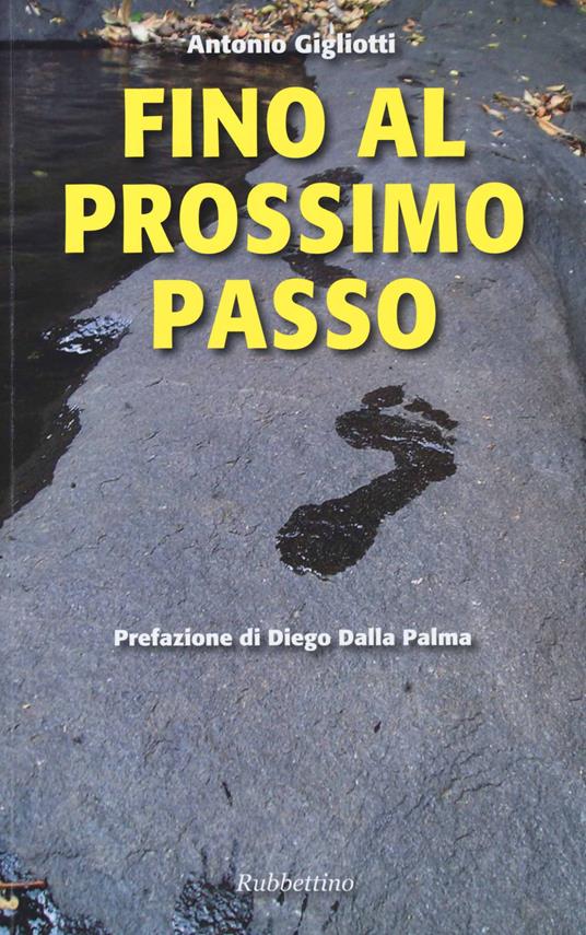 Fino al prossimo passo - Antonio Gigliotti - copertina