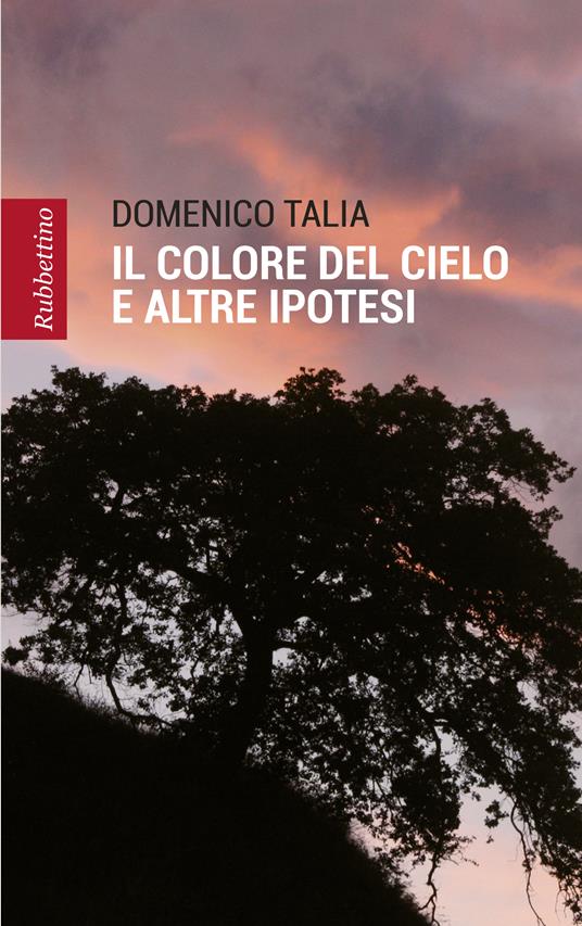 Il colore del cielo e altre ipotesi - Domenico Talia - ebook