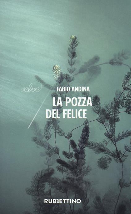 La pozza del felice - Fabio Andina - copertina