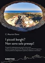 I piccoli borghi? Non sono solo presepi! Processi di rivitalizzazione per piccoli e micro centri periferici al tempo del Covid-19. Racconti dal web di 90 (+1) esperienze e buone pratiche tra disperazione e speranza, tradizione e innovazione