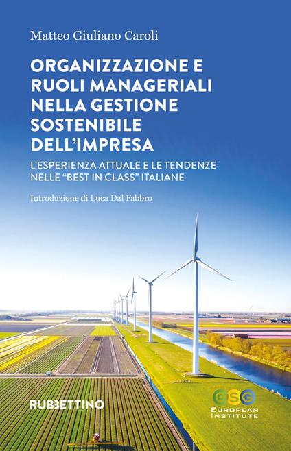 Organizzazione e ruoli manageriali nella gestione sostenibile dell'impresa. L'esperienza attuale e le tendenze nelle «best in class» italiane - Giuliano Matteo Caroli - copertina