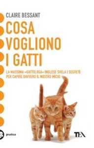 Cosa vogliono i gatti