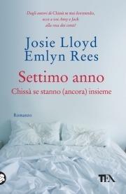 Settimo anno. Chissà se stanno (ancora) insieme - Josie Lloyd,Emlyn Rees - copertina