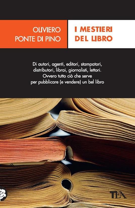 Harry Potter – Il Lettore Curioso