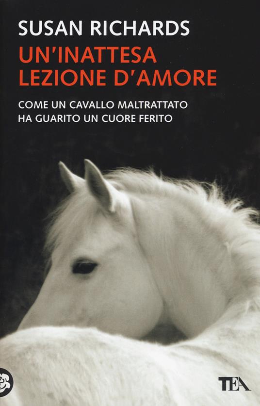 Un'inattesa lezione d'amore - Susan Richards - 2