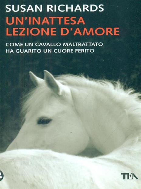 Un'inattesa lezione d'amore - Susan Richards - 3