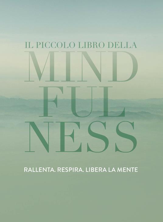 Il piccolo libro della mindfulness - Tiddy Rowan,Valentina Russo - ebook